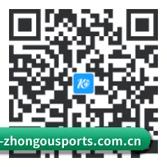 系统版 iOS 二维码